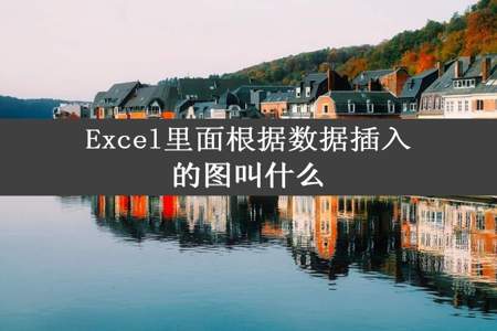 Excel里面根据数据插入的图叫什么