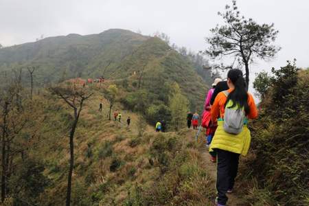 平阳岭根村有什么好玩的