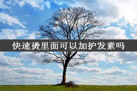 快速烫里面可以加护发素吗