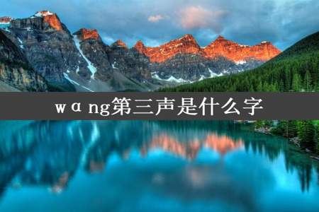 wαng第三声是什么字