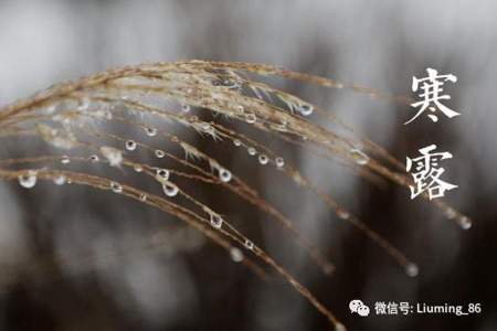 寒露节下雨有什么说法呢