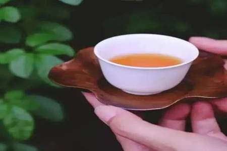 秋季第一杯茶什么意思诗句