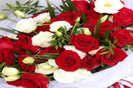 情人节儿媳妇送花怎么表达感谢语