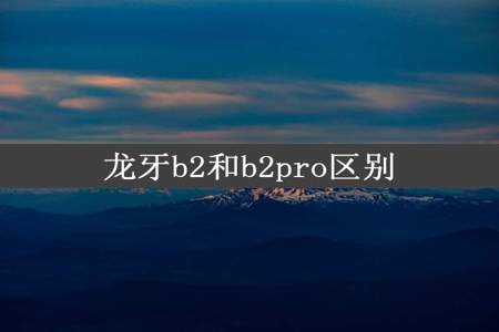 龙牙b2和b2pro区别