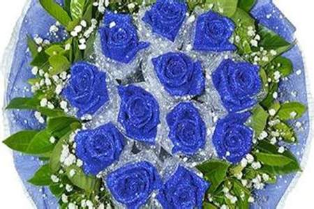 送十一朵蓝玫瑰花代表什么