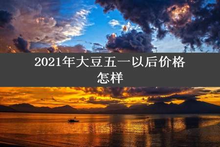 2021年大豆五一以后价格怎样