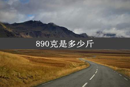 890克是多少斤