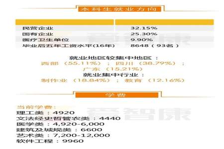 本科专业方向有哪些