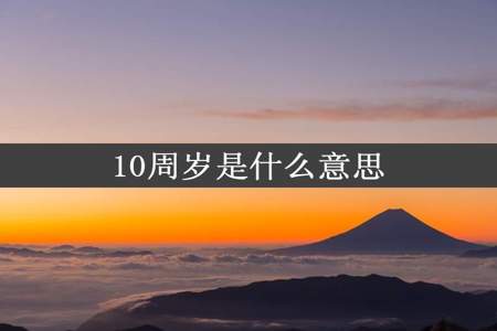 10周岁是什么意思