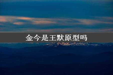 金今是王默原型吗