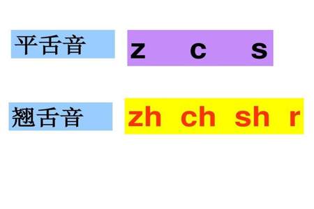 z念什么声母