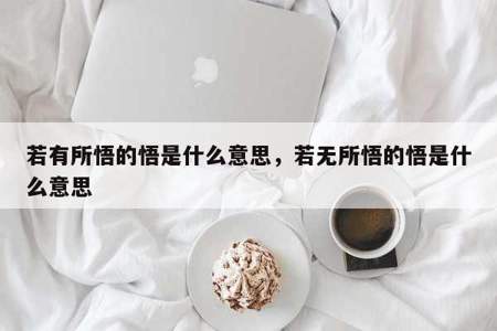 悟到的意思是什么