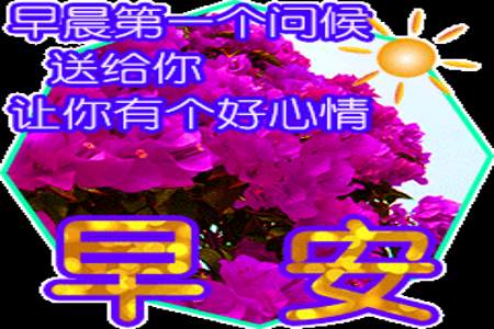 朋友每早送祝福该怎么回答