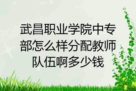 武昌职业学院08专业组是什么