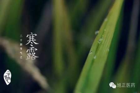 白露节气有什么时令蔬菜