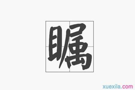 注视意思是什么