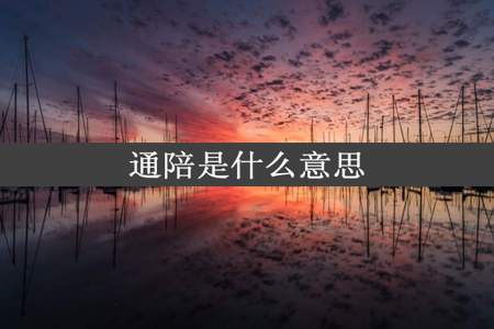 通陪是什么意思