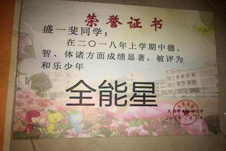 小学全班第一名怎么评为的