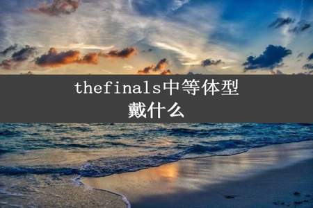 thefinals中等体型戴什么