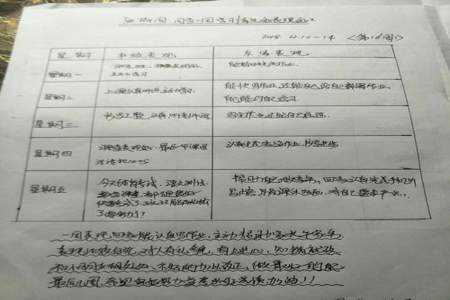 小学学生手册上的我努力的方向和我的收获怎么写，不要