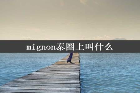 mignon泰圈上叫什么