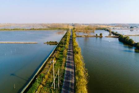 为什么叫盐阜大地