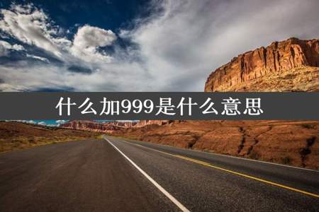 什么加999是什么意思