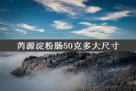 芮源淀粉肠50克多大尺寸