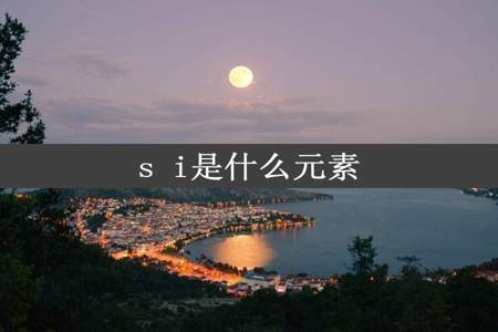 s i是什么元素