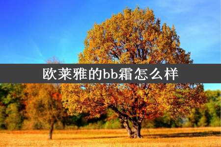 欧莱雅的bb霜怎么样