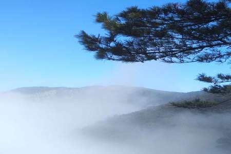 不识庐山真面目只缘身在此山中意思