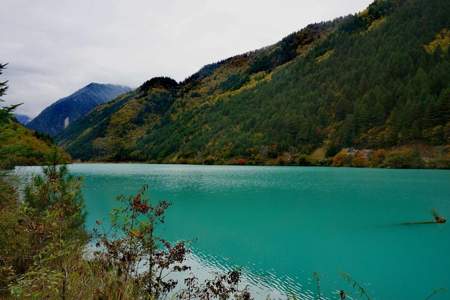 九寨沟上山坐哪边好