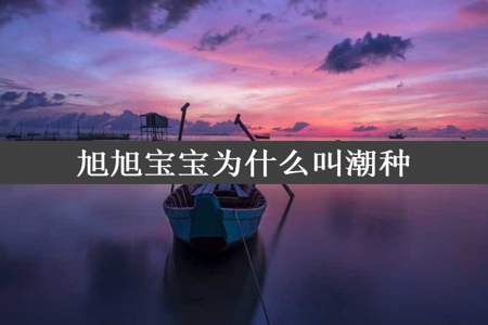 旭旭宝宝为什么叫潮种