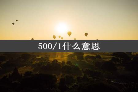 500/1什么意思