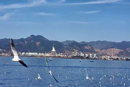 海埂大坝11月份适合去吗