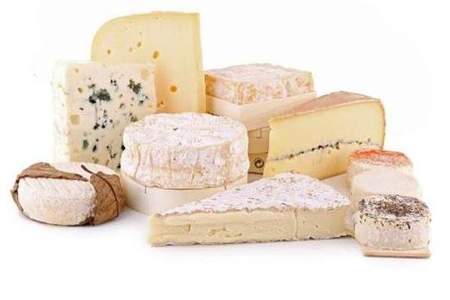 奶酪的近义词是什么
