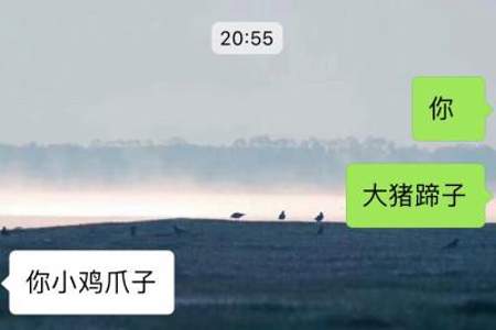 男人都是猪蹄子什么意思