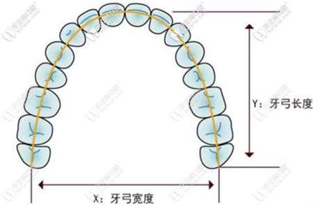 牙齿怎么称呼