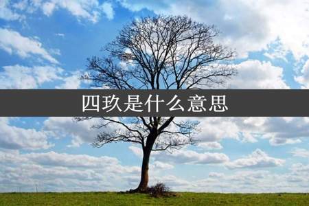 四玖是什么意思