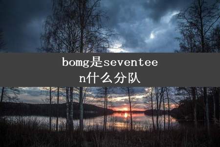 bomg是seventeen什么分队