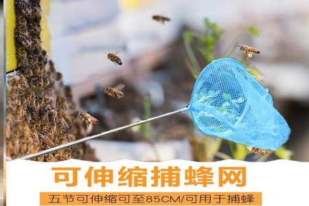 没有蜂衣怎么抓马蜂