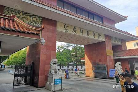 张雅琪就读于哪个大学