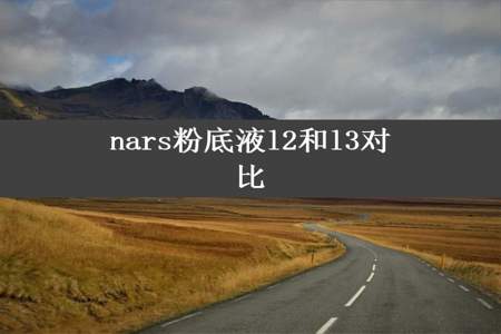 nars粉底液l2和l3对比