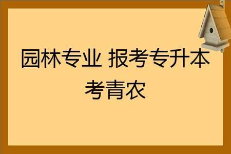 学青会怎么报名