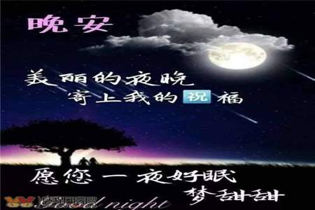 你的一句晚安我整夜好梦怎么回答