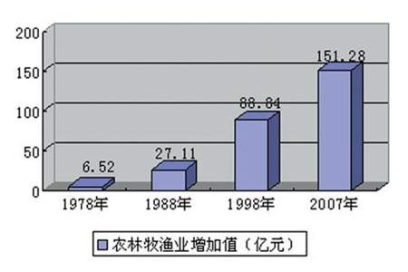 1978年什么实行分田到户自负盈亏的家庭联产承包责任制