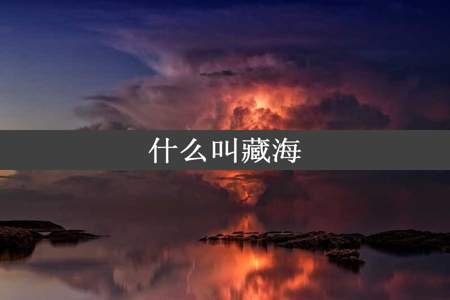 什么叫藏海