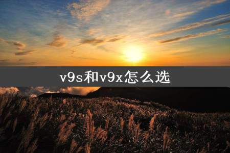 v9s和v9x怎么选