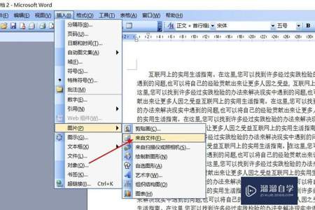 microsoftword怎么全屏显示