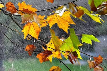 秋天的雨是什么造句子